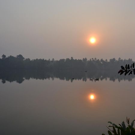 Big Banana Island Retreat Hotel North Paravur Bagian luar foto