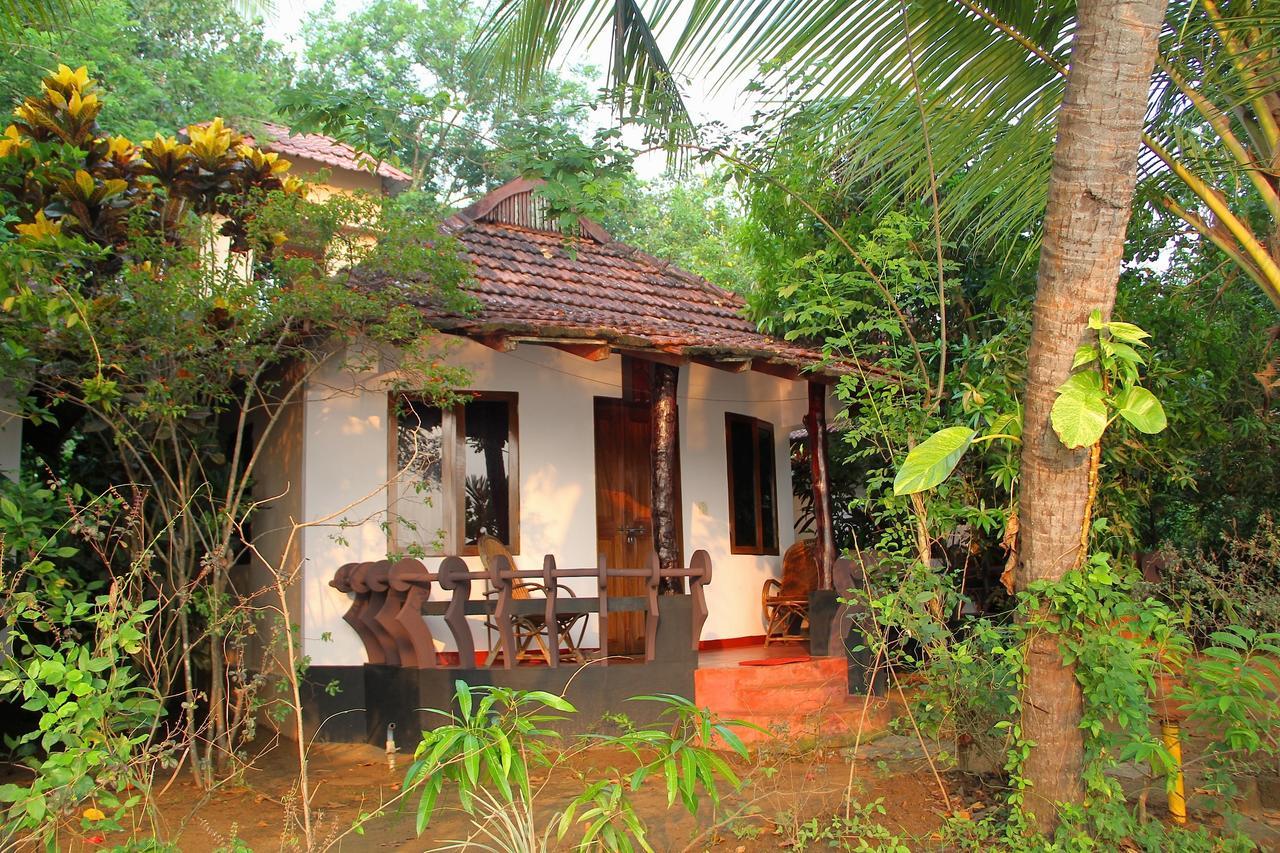 Big Banana Island Retreat Hotel North Paravur Bagian luar foto