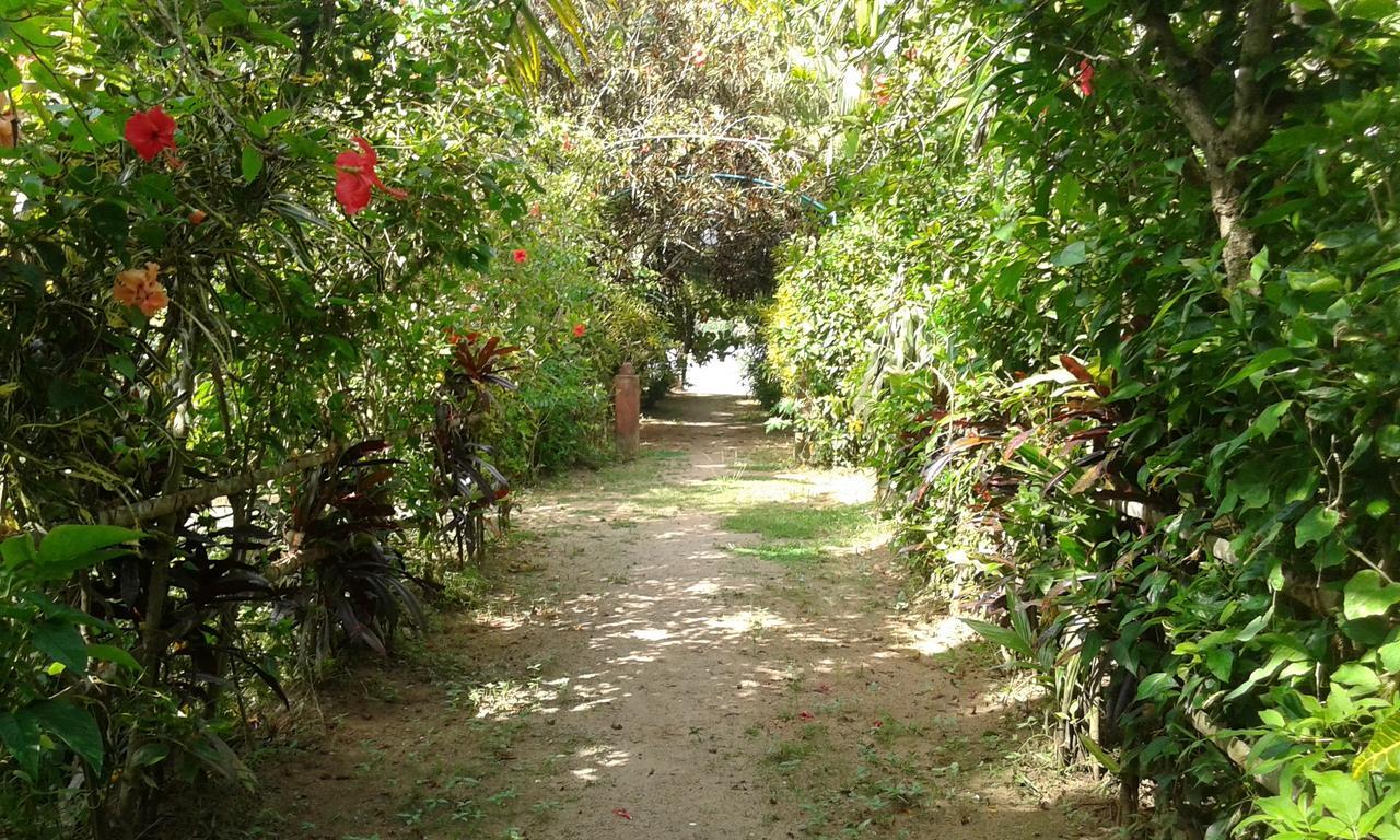 Big Banana Island Retreat Hotel North Paravur Bagian luar foto