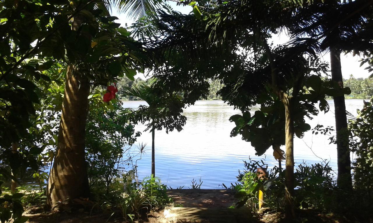 Big Banana Island Retreat Hotel North Paravur Bagian luar foto