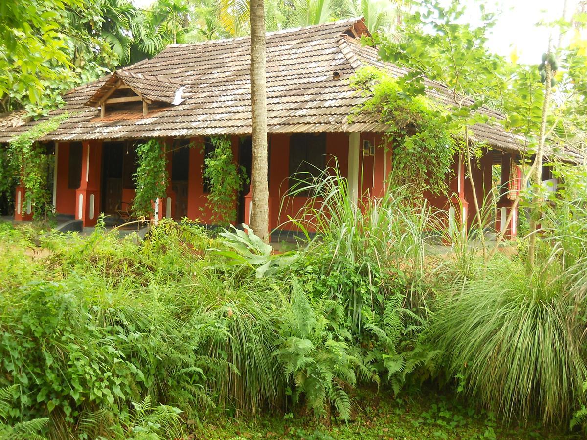 Big Banana Island Retreat Hotel North Paravur Bagian luar foto