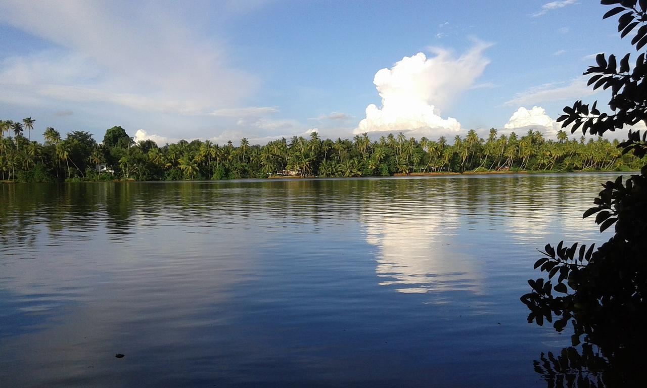 Big Banana Island Retreat Hotel North Paravur Bagian luar foto