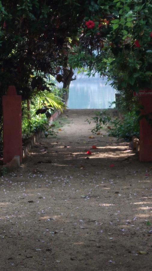 Big Banana Island Retreat Hotel North Paravur Bagian luar foto