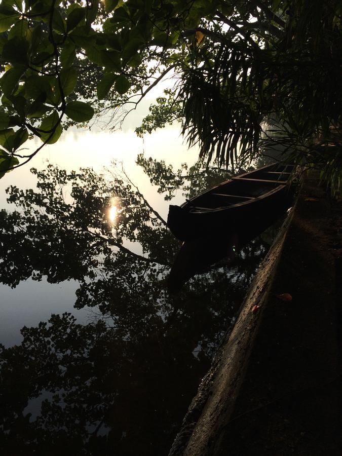 Big Banana Island Retreat Hotel North Paravur Bagian luar foto